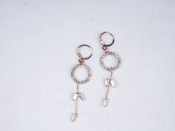 Interlocking Circle Earrings